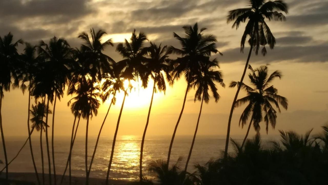Afiki Hotel Elmina Ngoại thất bức ảnh